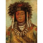 Puzzle  Grafika-F-30625 George Catlin: Boy Chief - Ojibbeway, 1843
