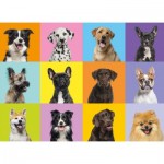 Puzzle  Grafika-F-32677 XXL Teile - Collage von Hunden