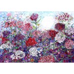 Puzzle  Grafika-F-32684 Sally Rich - Sweet William with Butterflies