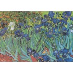 Puzzle  Grafika-F-32751 Van Gogh Vincent - Saint-Remy - Les Iris, 1889