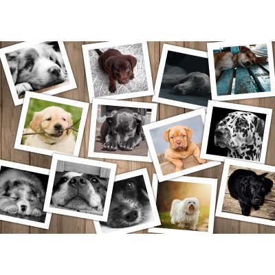 Puzzle  Grafika-F-33071 Hunde