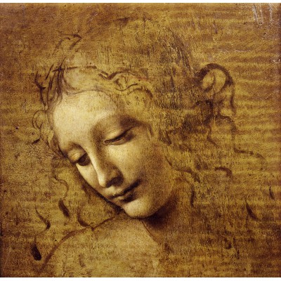 Puzzle  Grafika-F-33545 Leonardo da Vinci: Gesicht der Giovane Fanciulla, 1508