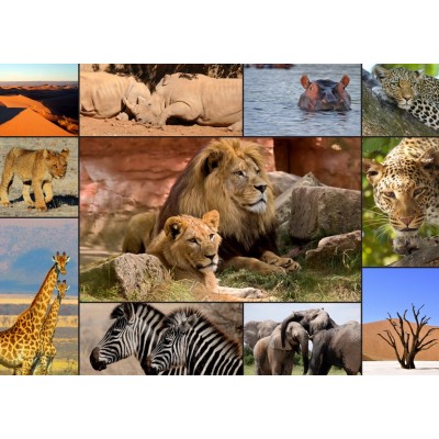 Puzzle  Grafika-T-00133 Collage - Wildlife