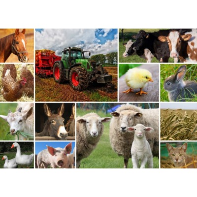 Puzzle  Grafika-T-00142 Collage - Bauernhoftiere
