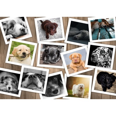 Puzzle  Grafika-T-00380 Hunde
