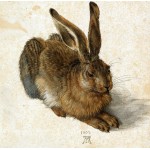 Puzzle  Grafika-T-02340 Albrecht Dürer - Der Hase, 1502