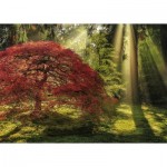 Puzzle  Heye-29855 Aaron Reed - Guiding Light