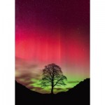 Puzzle  Heye-30065 Sycamore Gap