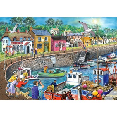 Puzzle  House-Of-Puzzles-HP0523 XXL Teile - Möwenperspektive