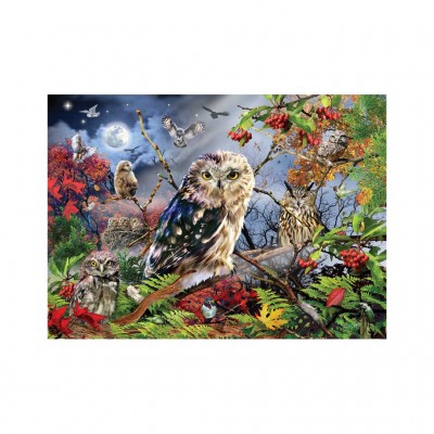 Puzzle  Jumbo-18859 Owls in the Moonlight
