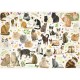 Collection Katzen Poster