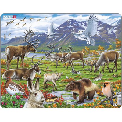  Larsen-FH14 Rahmenpuzzle - Die Tiere Lapplands