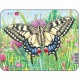 Rahmenpuzzle - Schmetterling