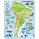 Rahmenpuzzle - Südamerika (auf Englisch)