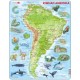 Rahmenpuzzle - Südamerika (auf Russisch)
