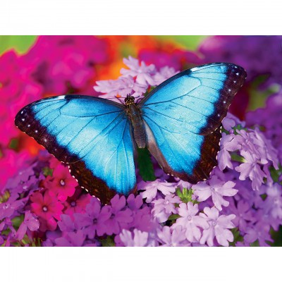 Puzzle Master-Pieces-31622 Iridescence - Butterfly