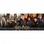 Puzzle  Nathan-00350 Harry Potter - The Sorcerer's War