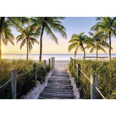 Puzzle  Nathan-00916 Strand von Florida