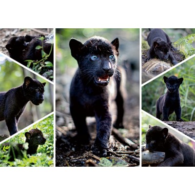 Puzzle Nathan-00932 Der letzte Jaguar