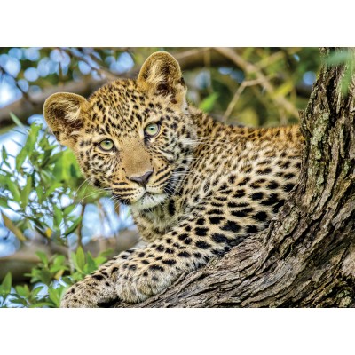 Puzzle Nathan-00959 Durch die Augen des Leoparden