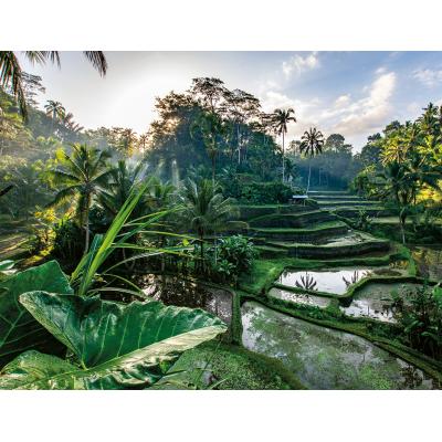 Puzzle  Nathan-01518 Im Herzen Balis