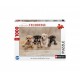 Die American Staffordshire Terrier