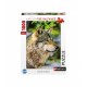 Europäischer Grauer Wolf