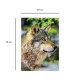 Europäischer Grauer Wolf