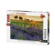 Felder der Provence