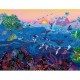 Wonders of the Ocean