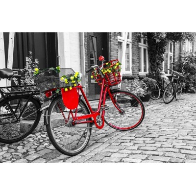 Puzzle Nova-Puzzle-41004 Das rote Fahrrad