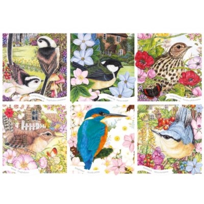 Puzzle Otter-House-Puzzle-75079 RSPB - Garden Birds