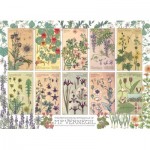 Puzzle  Cobble-Hill-40191 Botanicals by Verneuil