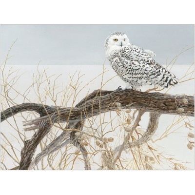 Puzzle  Cobble-Hill-45050 XXL Teile - Fallen Willow Snowy Owl