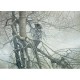 Robert Bateman: Der Geist des Nordens