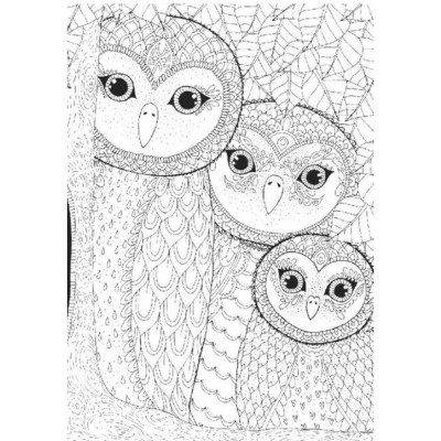 Puzzle  Perre-Anatolian-3316 Owls Family