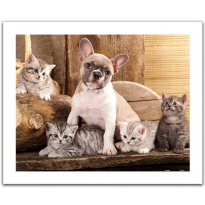 Pintoo-H1567 Puzzle aus Kunststoff - Little Kittens and A Dog
