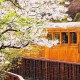Puzzle aus Kunststoff - Forest Train in Alishan National Park