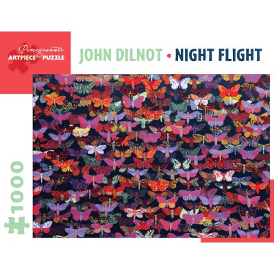 Puzzle  Pomegranate-AA1023 John Dilnot - Night Flight