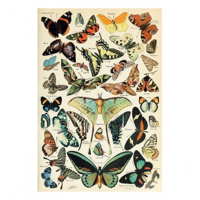 Puzzle-Michele-Wilson-A567-350 Puzzle aus handgefertigten Holzteilen - Die Schmetterlinge