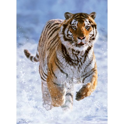 Puzzle  Ravensburger-00148 Tiger im Schnee