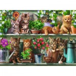 Puzzle  Ravensburger-00205 Katzen im Regal