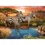 Puzzle  Ravensburger-00365 Zebras am Wasserloch