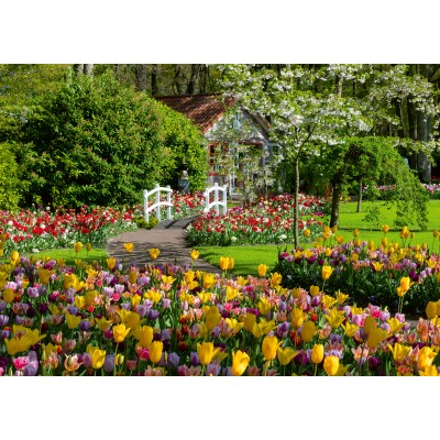 Puzzle Ravensburger-00851 Keukenhof Gärten, Niederlande