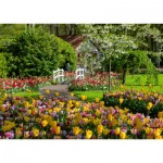 Puzzle  Ravensburger-00851 Keukenhof Gärten, Niederlande