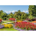 Puzzle  Ravensburger-00853 Botanischer Garten, Madeira