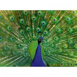  Ravensburger-01332 Peacock - Highlight Puzzle - Bunte Tiere