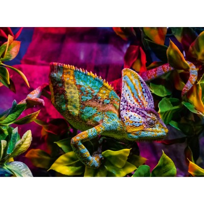 Ravensburger-01333 Chamäleon - Highlight Puzzle - Bunte Tiere