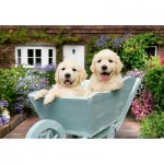  Ravensburger-01368 Wellness & Puzzle - Golden Retriever