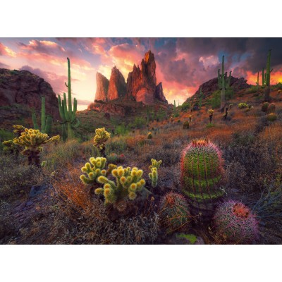 Puzzle  Ravensburger-01380 Kakteen und Dornen